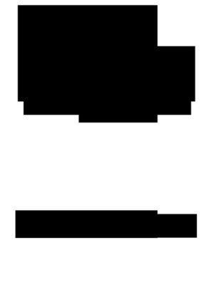 cover image of Flexible Representation Voting System